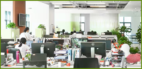 鲜果派对办公室环境